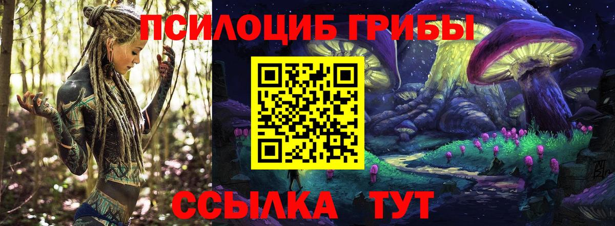 Мурманск  Псилоцибиновые грибы прущие грибы  Галлюциногенные грибы GOLDEN TEACHER  Вход с VPN 